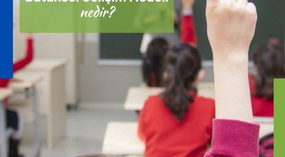 Nedir Bu Bütünsel Gelişim Modeli?